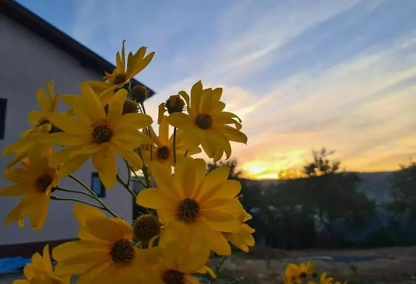 Piatra Rosie Pensiune Agroturistică