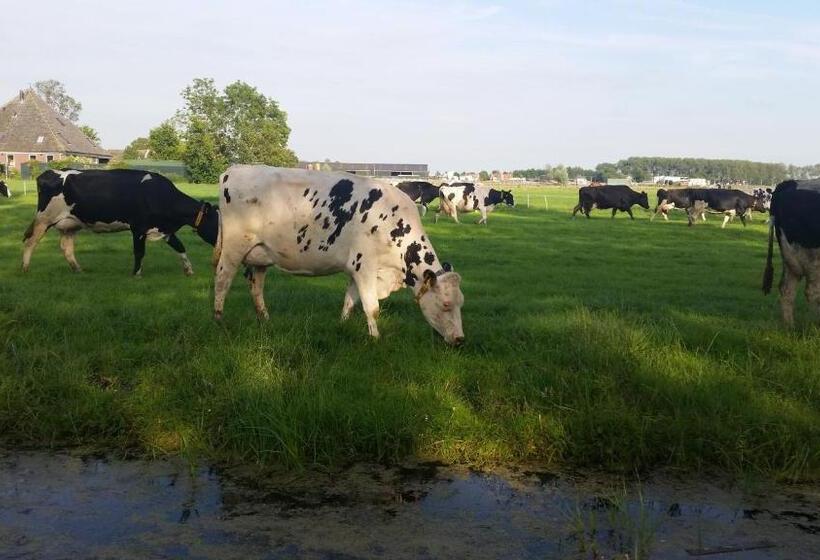 민박 Appartement De Molshoop Ii