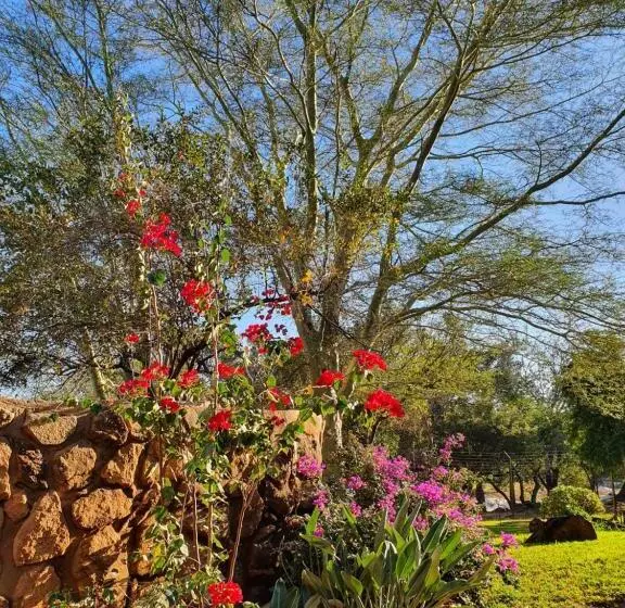 ベッドアンドブレックファースト Hasekamp Family Bush Lodge