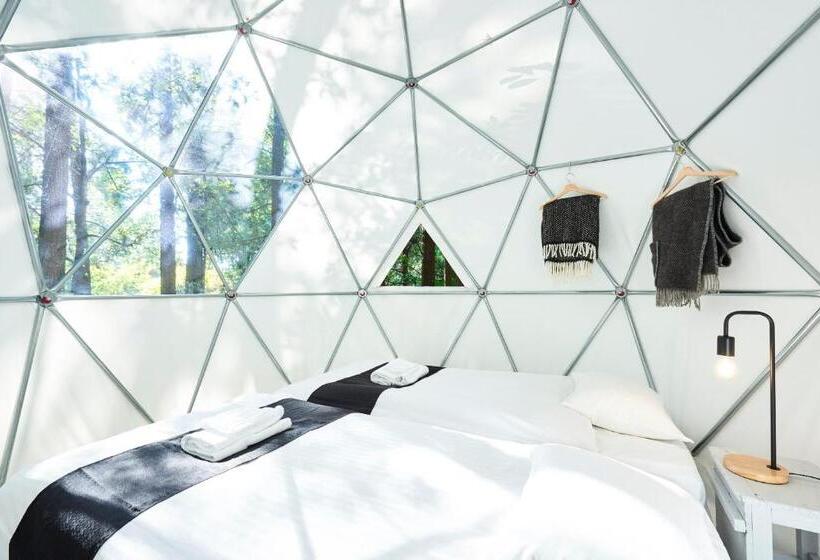 ホテル 泊まれる公園 Inn The Park