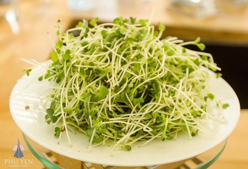 هتل Phú Yên Everyday