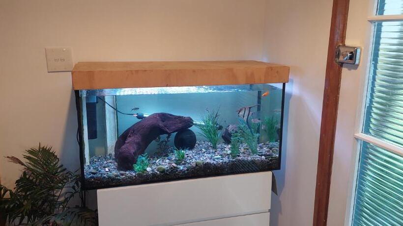 Morning Bloom Cottage Bed And Breakfast