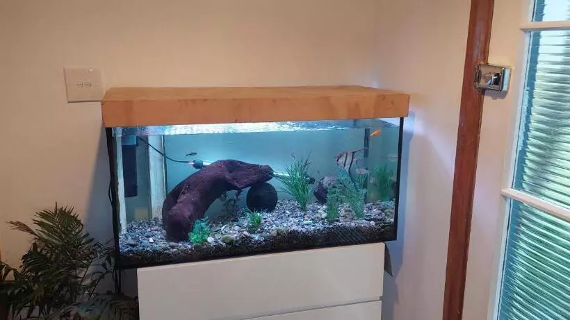 Morning Bloom Cottage Bed And Breakfast