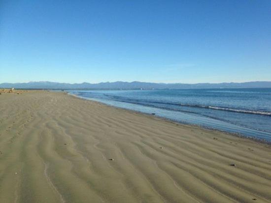 Morning Bloom Cottage Bed And Breakfast