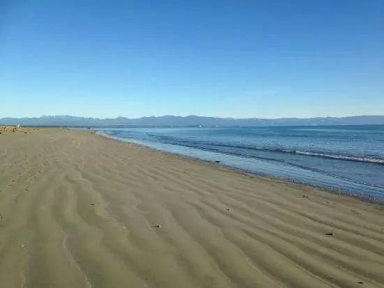 Morning Bloom Cottage Bed And Breakfast