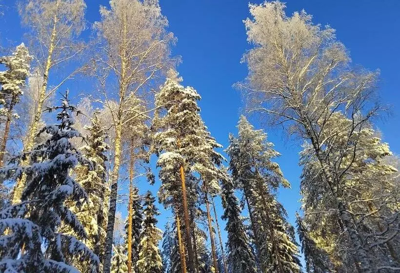 Majatalo Villa Puharila