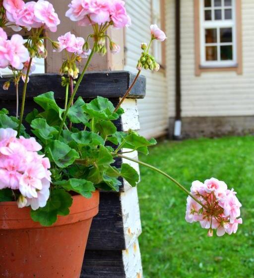 ペンション Villa Puharila