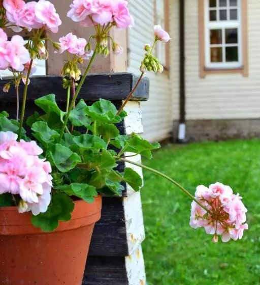 Majatalo Villa Puharila