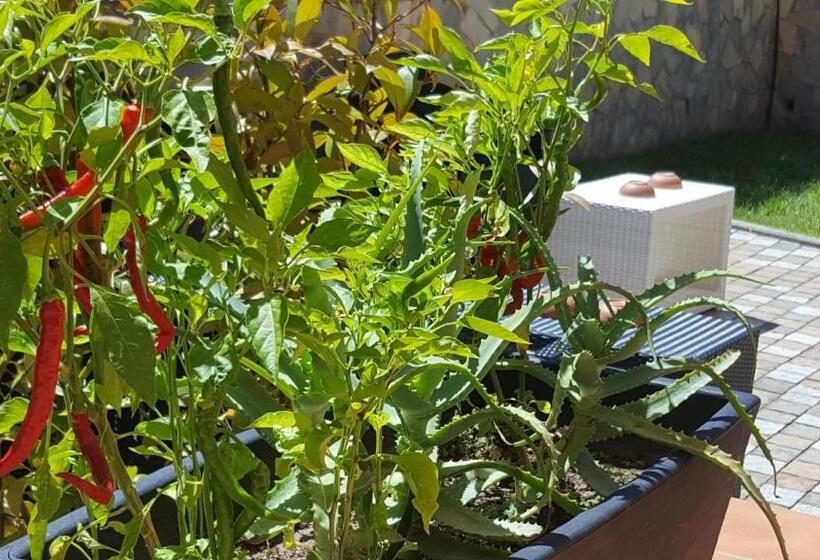 펜션 Villacristiano