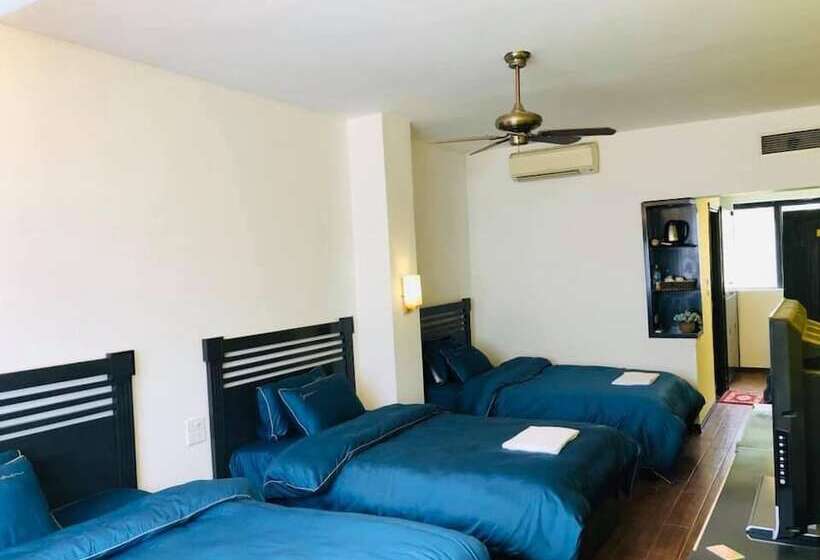 Отель Zo Star Tam Dao