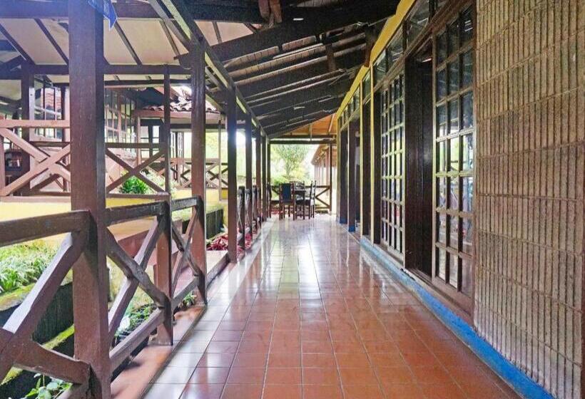 Hotel Lembah Nyiur By Oyo