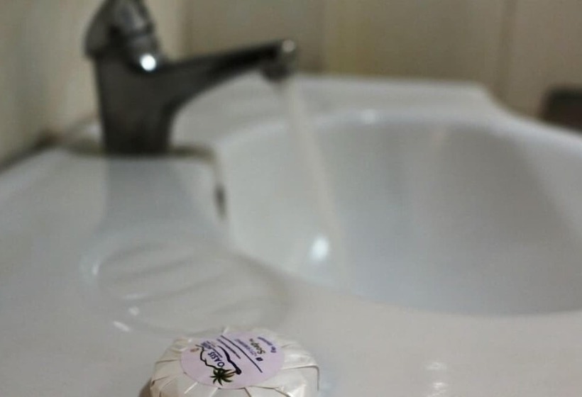 هتل Oasis International