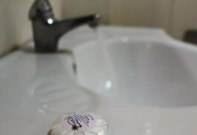 هتل Oasis International