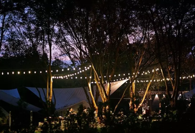 Lomakeskus The Wild Khao Yai   Glamping