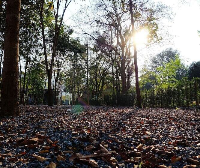 منتجع The Wild Khao Yai   Glamping