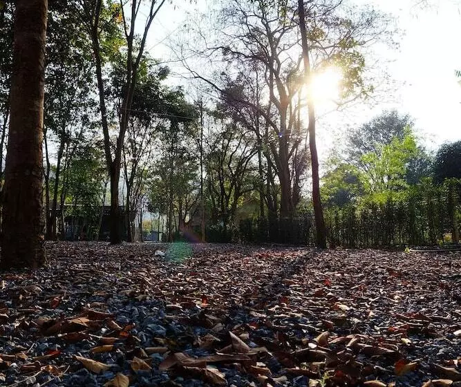 Lomakeskus The Wild Khao Yai   Glamping