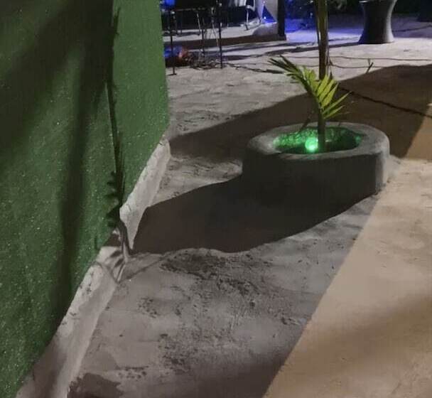 تختخواب و صبحانه Harmony Vybz Apartment