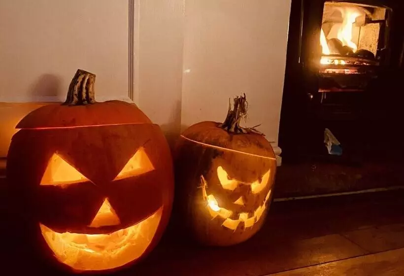 French Vintage Cottage In The Heart Of The Fens