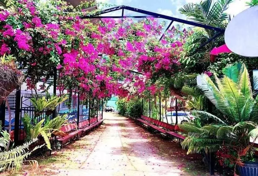 هتل Crystal Beach