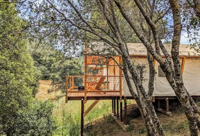 ホテル Wildhaven Yosemite Glamping