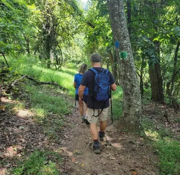 Moonlight Manor Bed And Breakfast