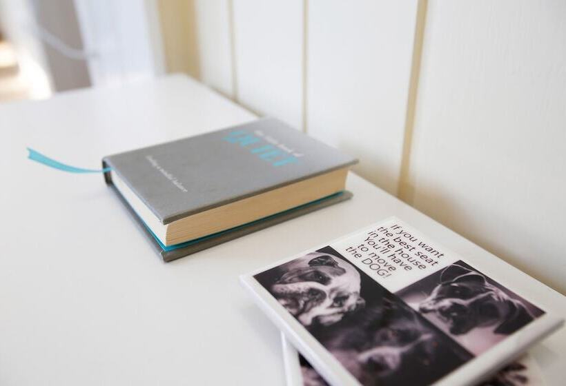 پانسیون Tullys Hut Walk To Hikes, Waterfalls, Views