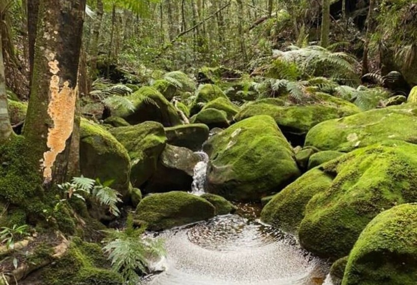 پانسیون Tullys Hut Walk To Hikes, Waterfalls, Views