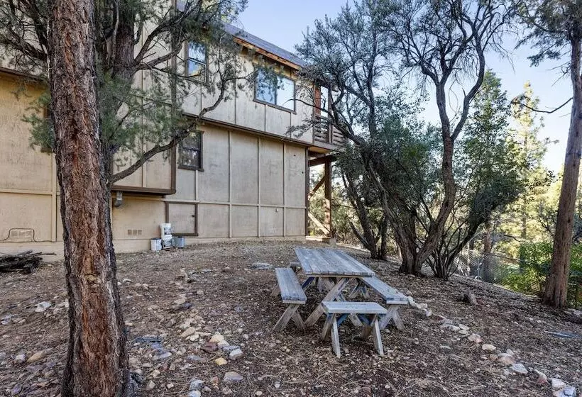 Treehouse On Rainbow