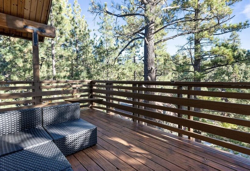 Treehouse On Rainbow