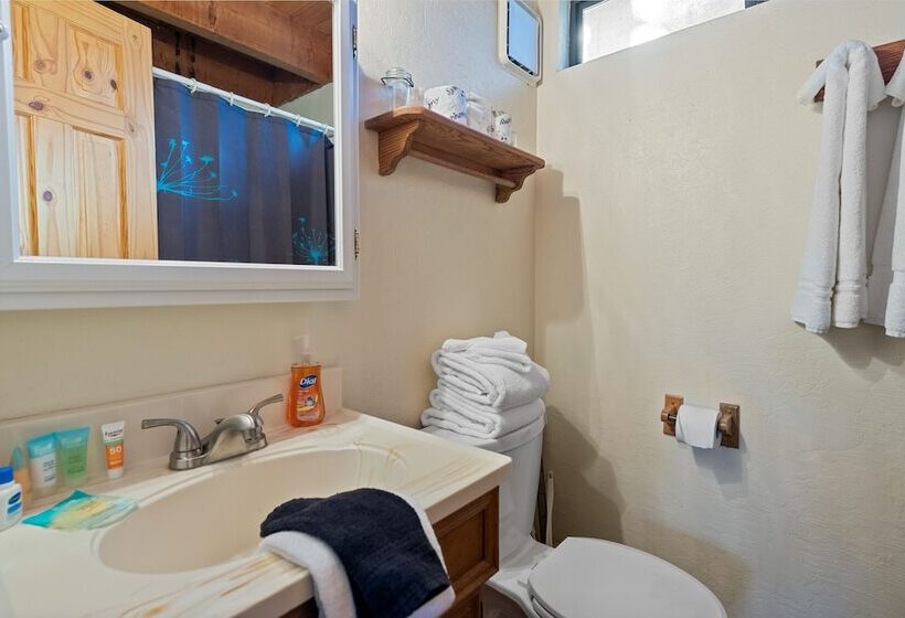 Treehouse On Rainbow