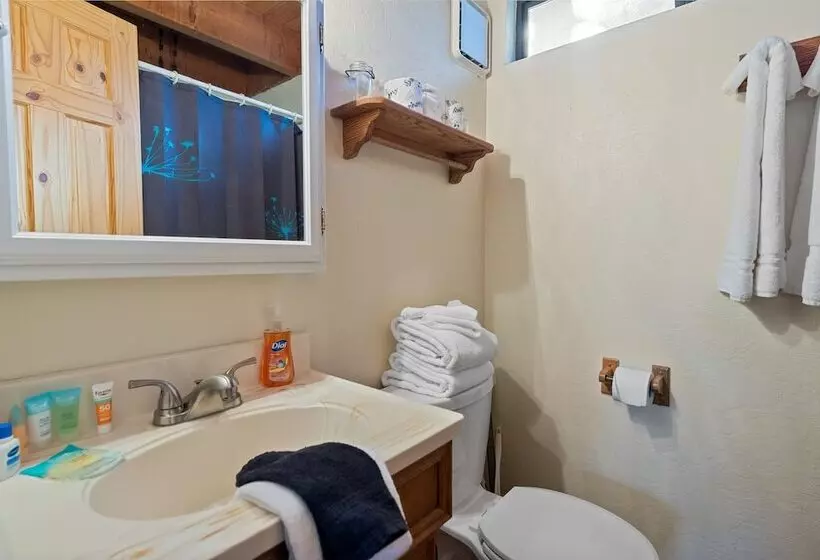 Treehouse On Rainbow