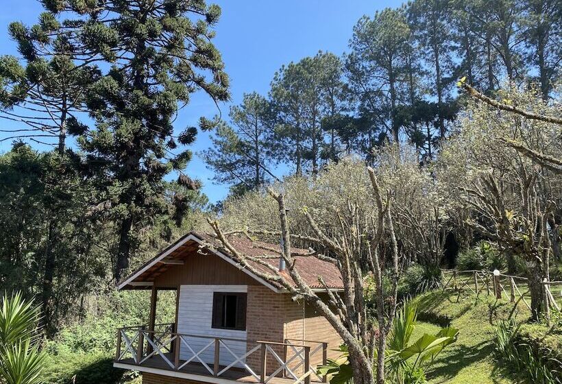 여관 Pousada Sotaque Mineiro