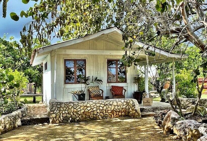 هتل Coral Cove Wellness Resort