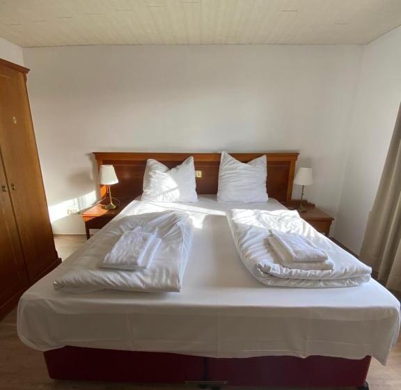 בית מלון כפרי Vienenburg