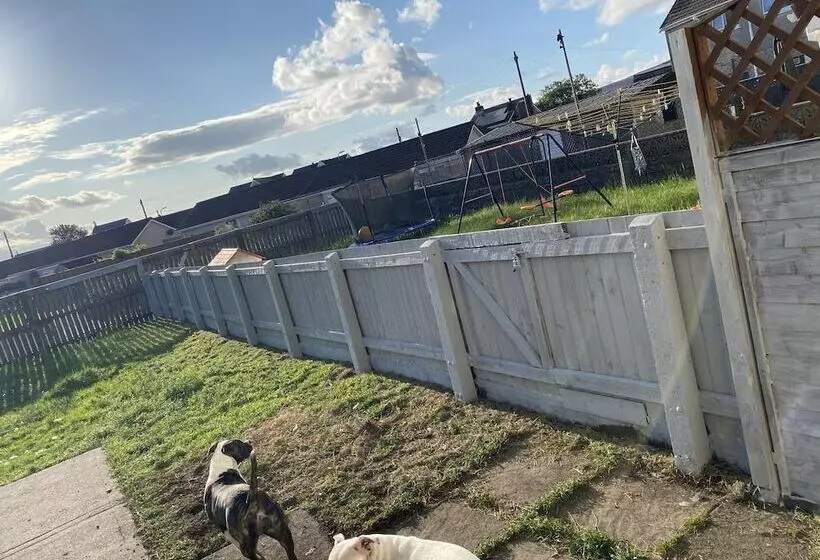 レジデンス Captivating 1 Bed House In Ammanford