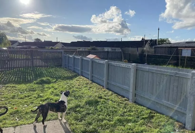 レジデンス Captivating 1 Bed House In Ammanford