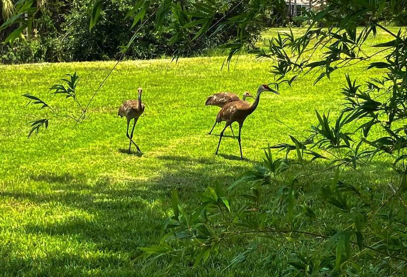 Serene Punta Gorda Garden Home: Explore The Region