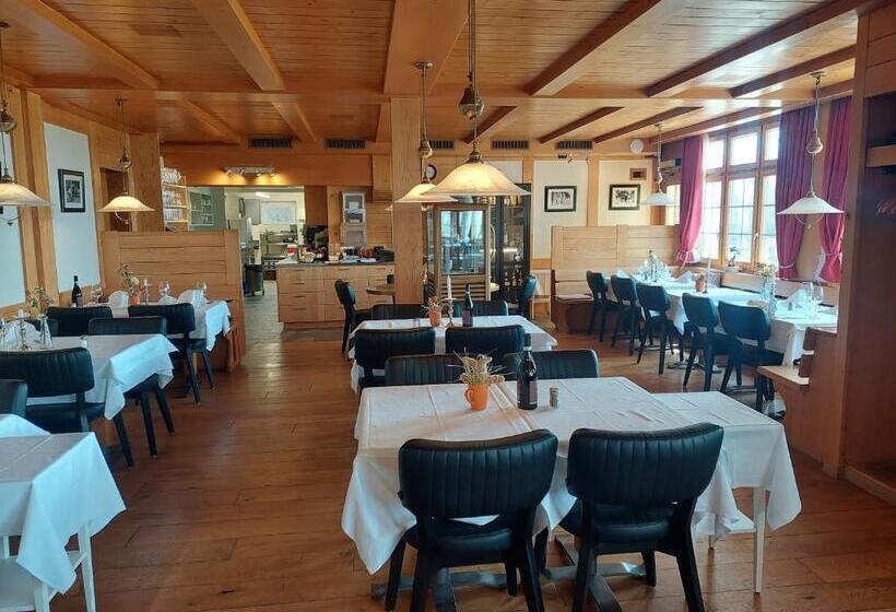 Hotel Alpenblick Ferenberg Bern