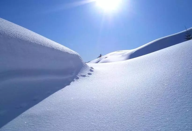 ホテル Der Winklhof