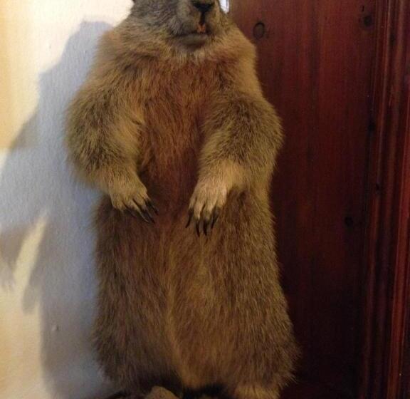 فندق Gasthaus Sonne