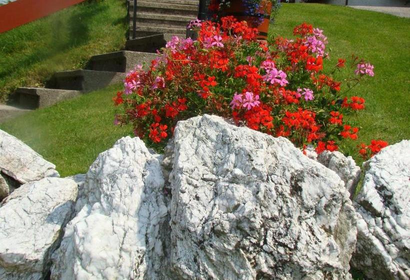 酒店 Gästehaus Apschner