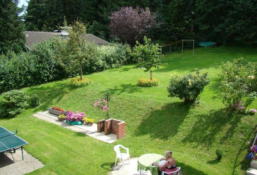 酒店 Gästehaus Apschner