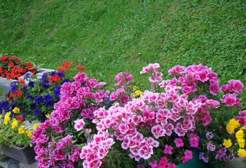 酒店 Gästehaus Apschner