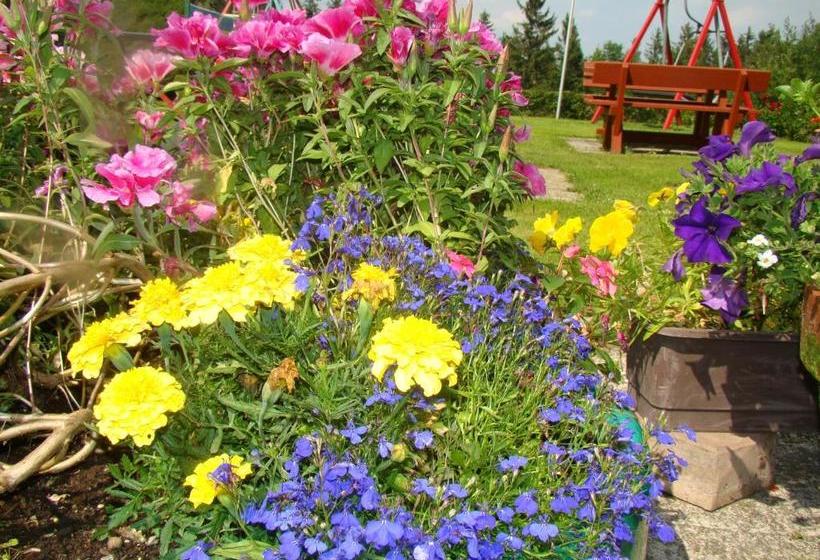 酒店 Gästehaus Apschner