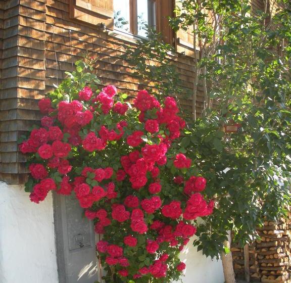 ホテル Haus Hubertus