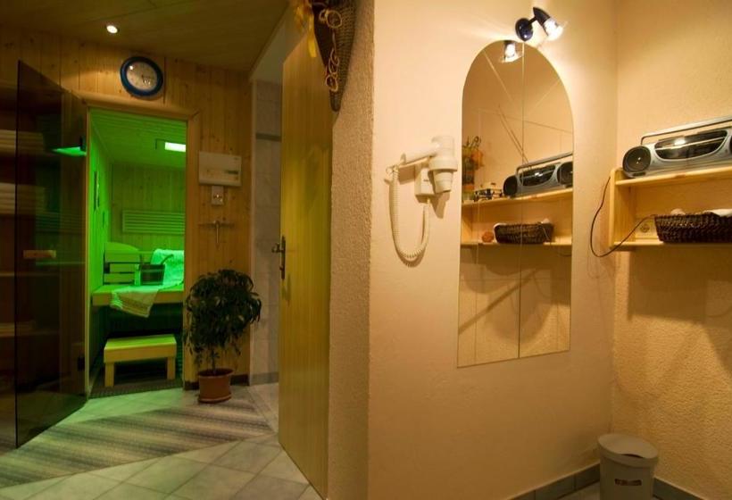 ホテル Haus Schatzbergblick