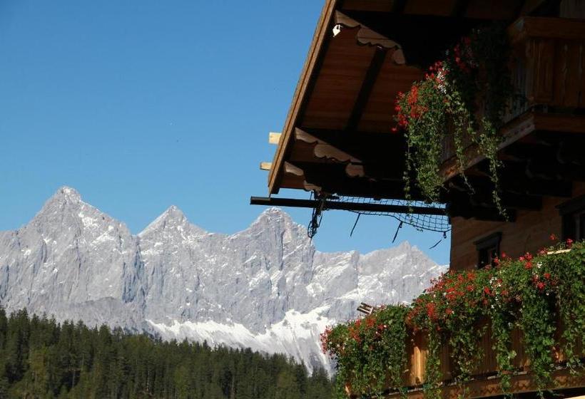 호텔 Frühstückspension Bachseitenhof