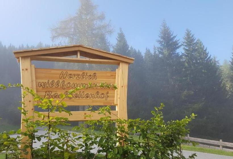 호텔 Frühstückspension Bachseitenhof