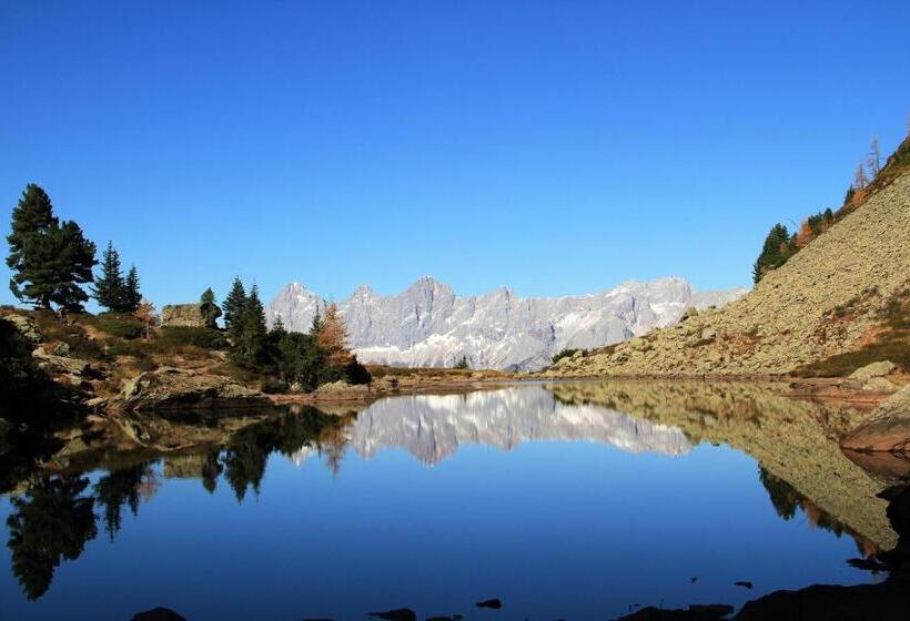 호텔 Frühstückspension Bachseitenhof