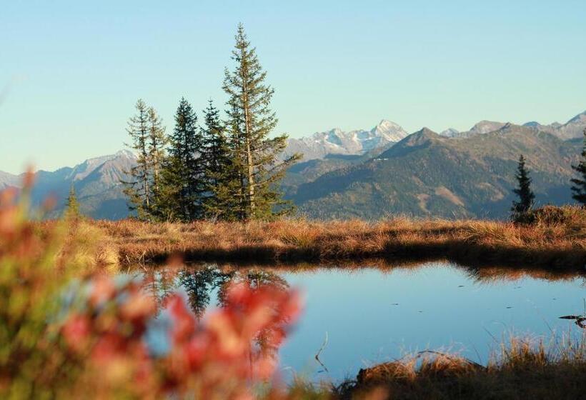 호텔 Frühstückspension Bachseitenhof